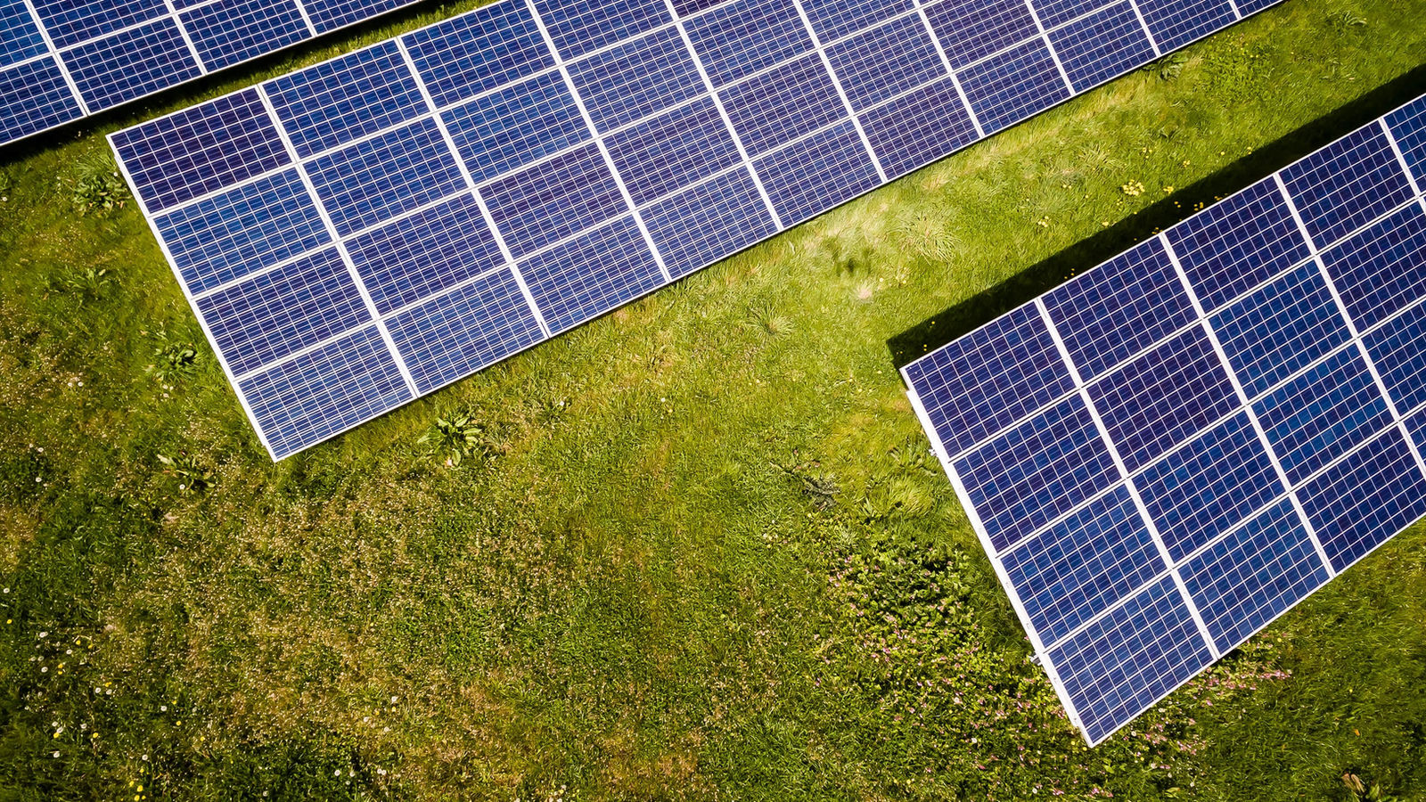 Solar panels catching the sun